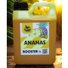 Atraktor wędkarski Booster Ananas GigaBait.pl